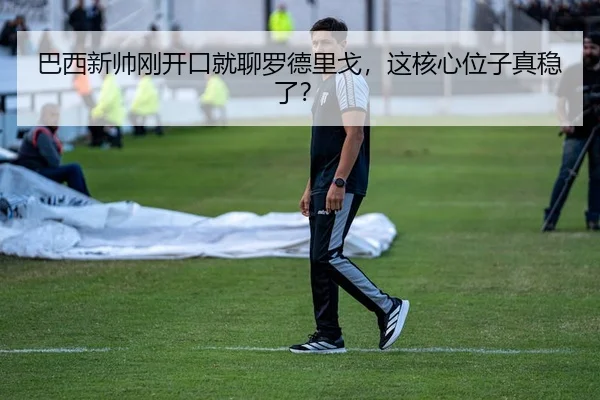 巴西新帅刚开口就聊罗德里戈，这核心位子真稳了？