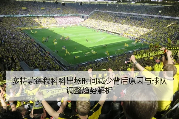 多特蒙德穆科科出场时间减少背后原因与球队调整趋势解析